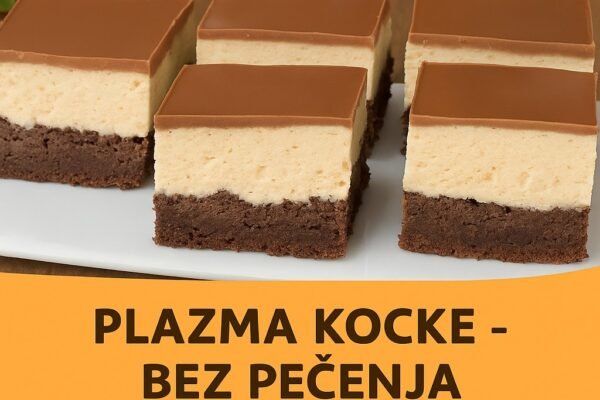 PLAZMA KOCKE – Savršen domaći kolač bez pečenja!