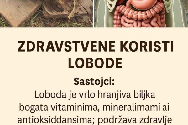 Otkrivanje zdravstvenih prednosti janjećih četvrti